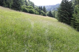 celkový pohľad na TML