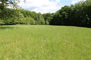 celkový pohľad na TML