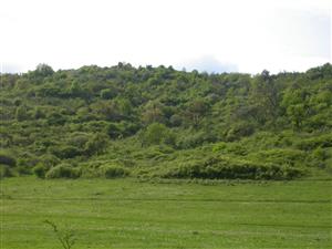 lokalita Petrovice,Jestice