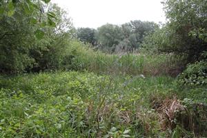 Habitat línie