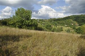 Nekosená časť TML