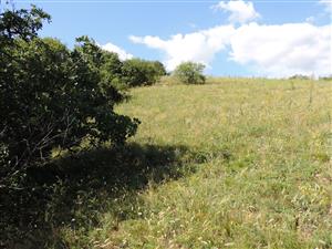 TMP2_TML_StenEura_009