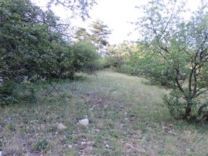 TMP1_TML_StenEura_010