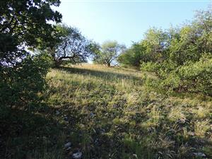 TMP2_TML_StenEura_010