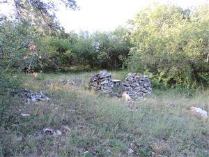 TMP1_TML_SagaPedo_011