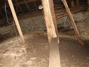 guáno po kolóniou v úkryte