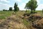 Spálená pokosená tráva v hornej časti TML Lesenice.