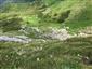 Pohlad z vrchu, z hrebena CHlebu na jeho severne svahy - reliktne  porasty s Carex firma a Dryas octopetala