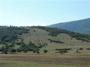 TML_StenEura_004_Okruhle