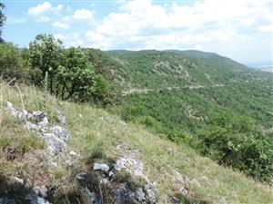 TMP1_TML_StenEura_002