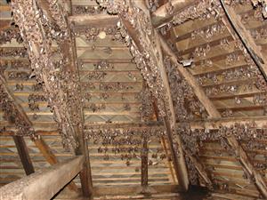 Ďalšia časť kolónie