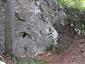 Zatienená skalná stena v lesnom poraste