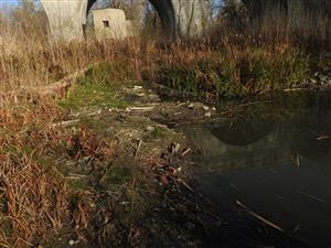 bobria krajina (castorland)
