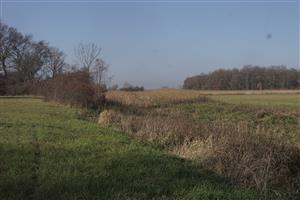 Oliverovo jazero pohľad na severnú stranu