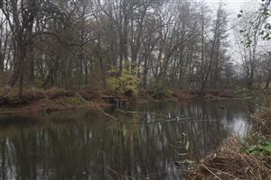 biotop mander za prečerpavackou sever