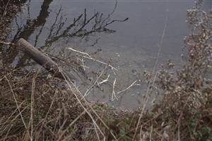 požerky
