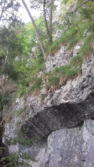 Pohľad na časť TML_8210_166_2