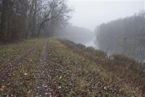 biotop Morava 70.5 r.km 