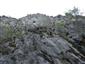 Silikátové skalné steny a svahy so štrbinovou vegetáciou (18.7.2017)