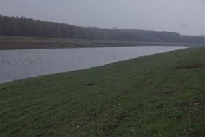 rieka Morava 89 r.km
