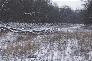 Dno meandra - úsek bez vody