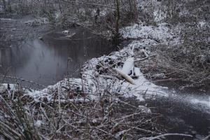 hať