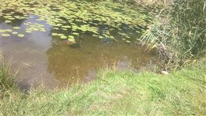 ľavý breh pri Technopole