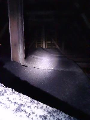 znečistenie podkrovia guánom