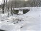 Vydra riečna  (31.1.2019)