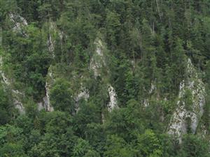 pohľad na časť TML - skalné bralá s Daphne arbuscula