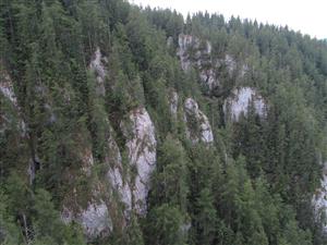 pohľad na skalné bralá - biotop Daphne arbuscula