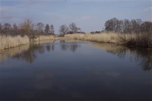biotop vodná plocha