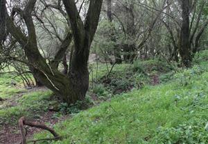 Habitat lokality