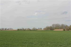 Habitat časti TMP