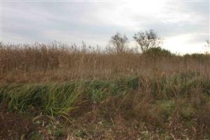Habitat línie