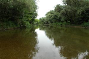 Pohľad na strednú časť TML zo štrkovej lavice proti prúdu.