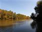 hrúz Vladykov (bieloplutvý) (24.9.2014)