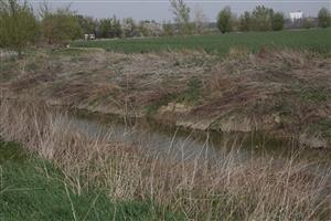 Spoločný biotop bobra a nutrie