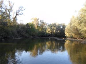 Zaciatok TML 2 (paleopotamal, bez prudu)