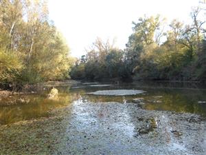 Koniec TML 1 (paleopotamal, bez prudu)