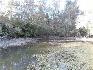 Koniec TML 2 (paleopotamal, bez prudu)