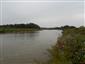 hrúz Vladykov (bieloplutvý) (25.9.2014)