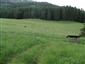 Nížinné a podhorské kosné lúky (28.7.2014)