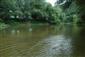 Dolná časť TMP, štrková lavica pod vodou, porovnaj TML_OphiCeci_01720140624_001.jpg