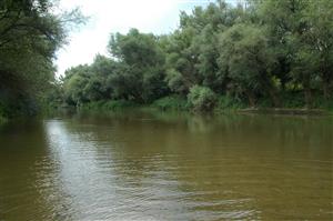 Pohľad na strednú časť TML Ľela zo štrkovej lavice (proti prúdu).