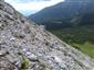 Karbonátové skalné sutiny alpínskeho až montánneho stupňa (17.7.2019)