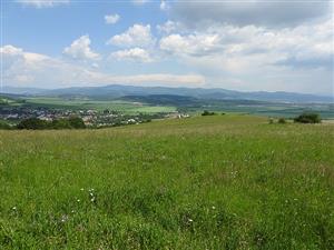 TML_ColiMyrm_010 2. júna 2019 - horná časť