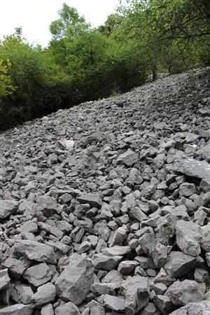 Záber na monitorovaný biotop.