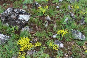 Záber na monitorovaný biotop.