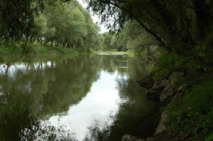 Pravý (slovenský) breh Ipľa spevnený lomovým kameňom, nevhodný úsek pre vývoj lariev vážok
